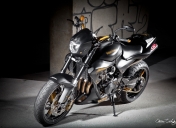 Hornet 600 street bike