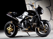 Hornet 600 street bike