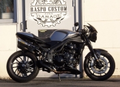 Triumph 1050 speed triple