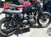 TRIUMPH T100 GREG