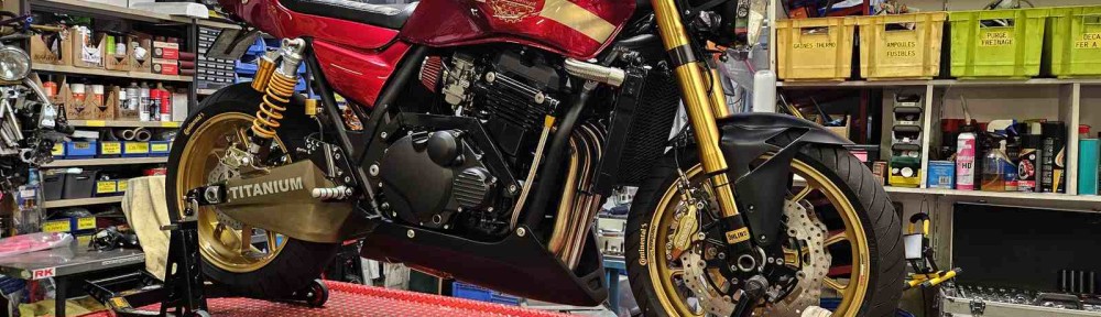 zrx cafe racer raspo rcg 037