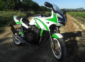 ZRX 1200S DE REMY