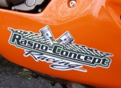 Déco sur sabot Team RCR (Raspo Concept Racing)