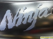 pinstriping logo Ninja