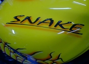 raspo-zx9r-snacke-03