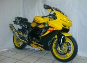 raspo-zx9r-snacke-05